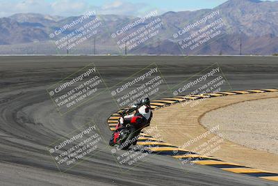 media/Feb-04-2024-SoCal Trackdays (Sun) [[91d6515b1d]]/4-Bowl Backside (11am)/